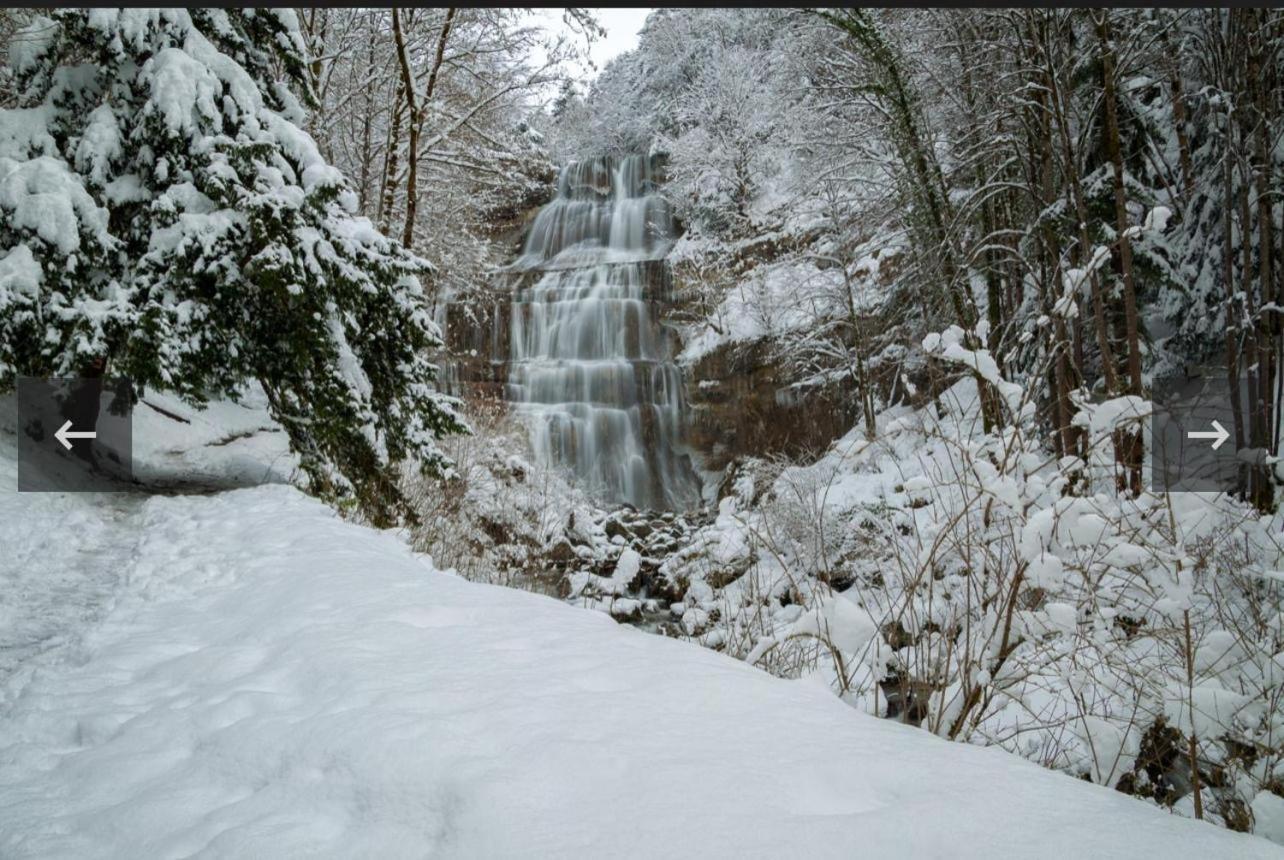Vila La Champagnolaise Champagnole Exteriér fotografie